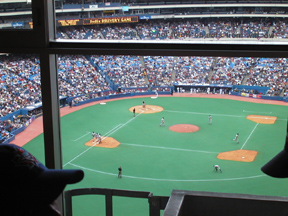 Skydome field