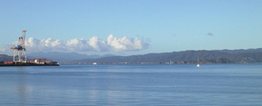 Wellington harbour