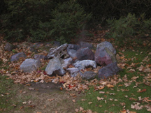 Steam vent in park