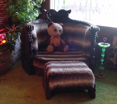 Teddy bear in jungle chair