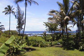 View from B&B